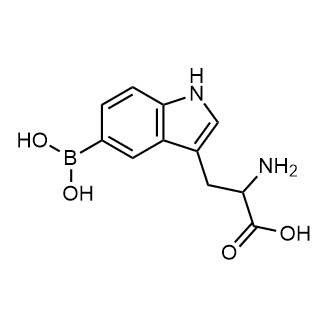 2-Amino-3-(5-borono-1H-indol-3-yl)propanoic acid|CS-0804615