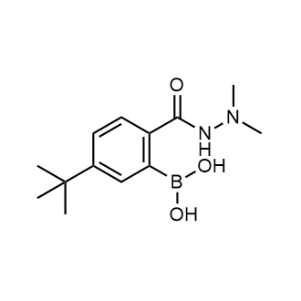 (5-(tert-Butyl)-2-(2,2-dimethylhydrazine-1-carbonyl)phenyl)boronic acid|CS-0805515