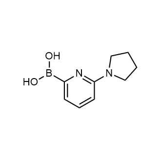 (6-(Pyrrolidin-1-yl)pyridin-2-yl)boronic acid|CS-0805566