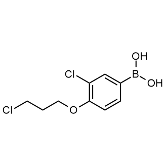 (3-chloro-4-(3-chloropropoxy)phenyl)boronic acid|CS-0805713