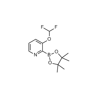 1447764 12 6 3 Difluoromethoxy 2 4 4 5 5 Tetramethyl 1 3 2