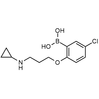 (5-chloro-2-(3-(cyclopropylamino)propoxy)phenyl)boronic acid|CS-0806462