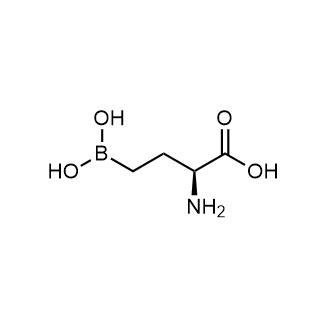 (S)-2-Amino-4-boronobutanoic acid|CS-0806588
