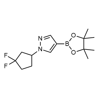 1-(3,3-Difluorocyclopentyl)-4-(4,4,5,5-tetramethyl-1,3,2-dioxaborolan-2-yl)-1H-pyrazole|CS-0806856