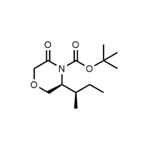 Tert-butyl (S)-3-((R)-sec-butyl)-5-oxomorpholine-4-carboxylate|CS-0807652