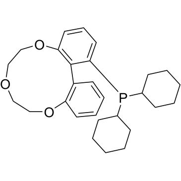 Dicyclohexyl(6,7,9,10-tetrahydrodibenzo[h,j][1,4,7]trioxacycloundecin-1-yl)phosphine|CS-0834638