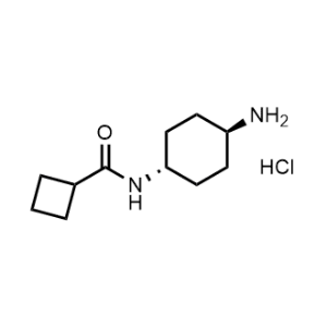 N-[(1R*,4R*)-4-Aminocyclohexyl]cyclobutane-carboxamide hydrochloride|CS-0850991