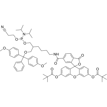 6-FAM-DMT-PA|CS-0864658