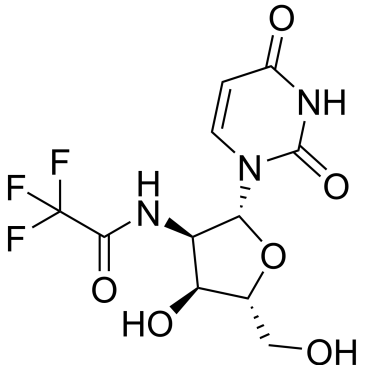 N-((2R,3R,4S,5R)-2-(2,4-Dioxo-3,4-dihydropyrimidin-1(2H)-yl)-4-hydroxy-5-(hydroxymethyl)tetrahydrofuran-3-yl)-2,2,2-trifluoroacetamide|CS-0868135