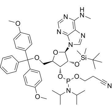 N6-Me-rA phosphoramidite|CS-0868141