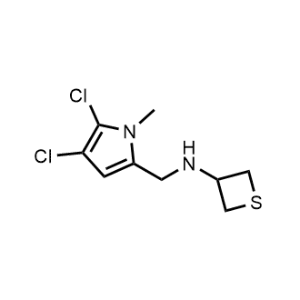 N-((4,5-Dichloro-1-methyl-1H-pyrrol-2-yl)methyl)thietan-3-amine|CS-0868764