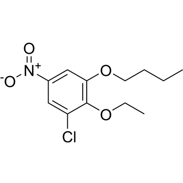 1-Butoxy-3-chloro-2-ethoxy-5-nitrobenzene|CS-0869253
