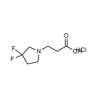 3-(3,3-Difluoropyrrolidin-1-yl)propanoic acid hydrochloride|CS-0869863