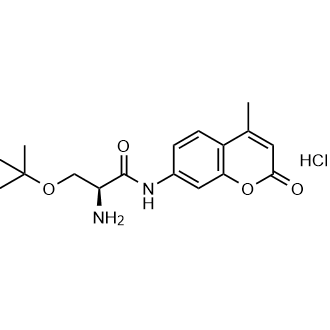 (s)-2-Amino-3-(tert-butoxy)-n-(4-methyl-2-oxo-2h-chromen-7-yl)propanamide hydrochloride|CS-0872498