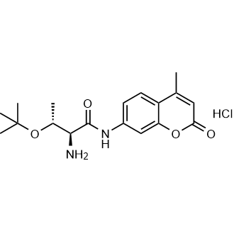 Butanamide, 2-amino-3-(1,1-dimethylethoxy)-N-(4-methyl-2-oxo-2H-1-benzopyran-7-yl)-, hydrochloride, (2S,3R)-|CS-0872499
