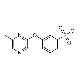 3-((6-Methylpyrazin-2-yl)oxy)benzenesulfonyl chloride|CS-0873435