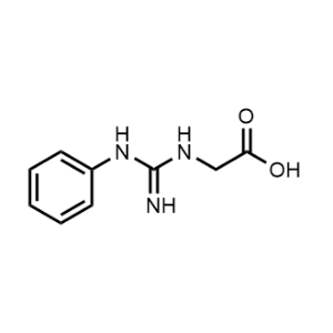 (N-phenylcarbamimidoyl)glycine|CS-0873531