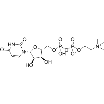 UDP-choline|CS-0873536
