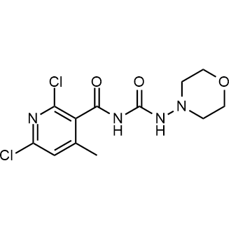 2,6-Dichloro-4-methyl-n-(morpholinocarbamoyl)nicotinamide|CS-0876454