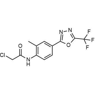2-Chloro-n-(2-methyl-4-(5-(trifluoromethyl)-1,3,4-oxadiazol-2-yl)phenyl)acetamide|CS-0876547