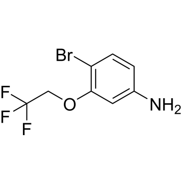 4-Bromo-3-(2,2,2-trifluoroethoxy)aniline|CS-0876968