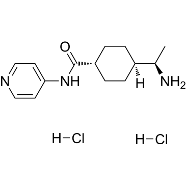 CS-0878