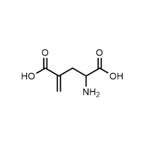 2-Amino-4-methylenepentanedioic acid|CS-0878013