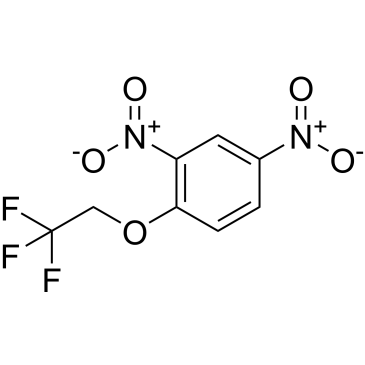 2,4-Dinitro-1-(2,2,2-trifluoroethoxy)benzene|CS-0878404