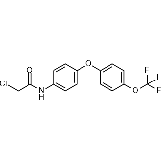 2-Chloro-n-(4-(4-(trifluoromethoxy)phenoxy)phenyl)acetamide|CS-0879452