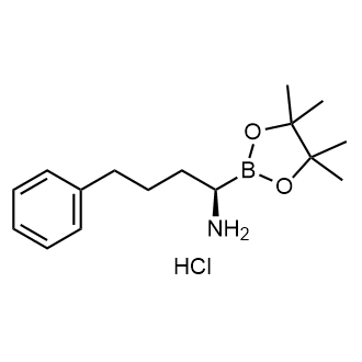 (R)-4-Phenyl-1-(4,4,5,5-tetramethyl-1,3,2-dioxaborolan-2-yl)butan-1-amine hydrochloride|CS-0880019