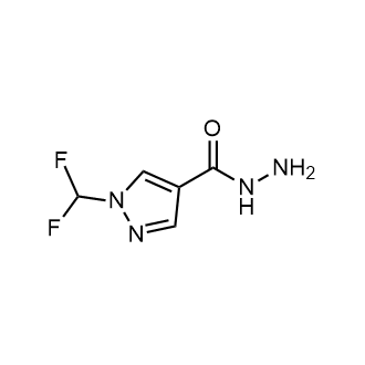 1-(Difluoromethyl)-1H-pyrazole-4-carbohydrazide|CS-0880744