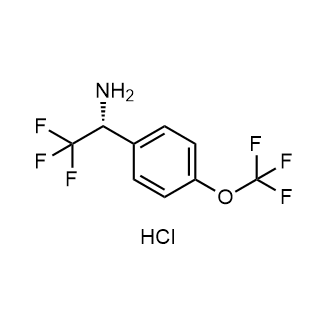 (R)-2,2,2-Trifluoro-1-(4-(trifluoromethoxy)phenyl)ethan-1-amine hydrochloride|CS-0881700