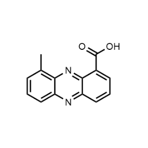 9-Methylphenazine-1-carboxylic acid|CS-0883238