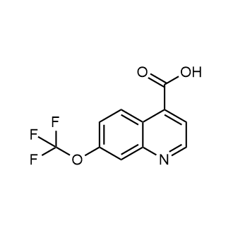 7-(Trifluoromethoxy)quinoline-4-carboxylic acid|CS-0884325