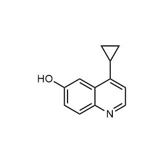 4-Cyclopropylquinolin-6-ol|CS-0889026