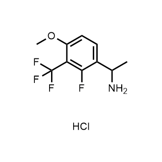 1-(2-Fluoro-4-methoxy-3-(trifluoromethyl)phenyl)ethan-1-amine hydrochloride|CS-0893032