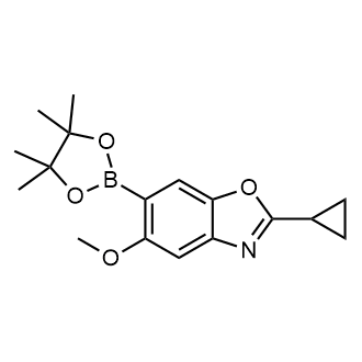2-Cyclopropyl-5-methoxy-6-(4,4,5,5-tetramethyl-1,3,2-dioxaborolan-2-yl)benzo[d]oxazole|CS-0896534