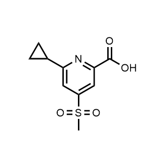 6-Cyclopropyl-4-(methylsulfonyl)-2-pyridinecarboxylic acid|CS-0900329