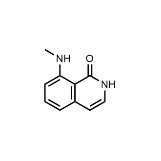 8-(Methylamino)isoquinolin-1(2H)-one|CS-0901953