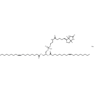 18:1 Biotinyl PE|CS-0902981