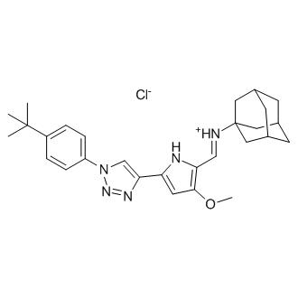 Lactate transportor 1|CS-0903931