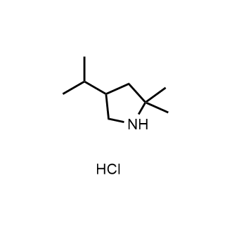 4-Isopropyl-2,2-dimethylpyrrolidine hydrochloride|CS-0906700