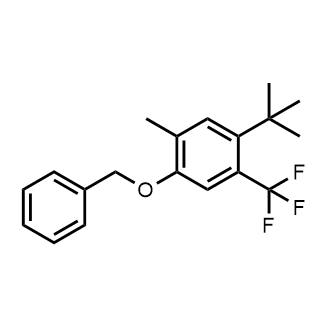 1-(Benzyloxy)-4-(tert-butyl)-2-methyl-5-(trifluoromethyl)benzene|CS-0907909