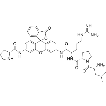 D-Leu-Pro-Arg-Rh110-D-Pro|CS-0908563