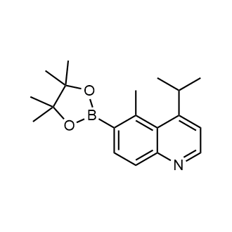 4-Isopropyl-5-methyl-6-(4,4,5,5-tetramethyl-1,3,2-dioxaborolan-2-yl)quinoline|CS-0909004