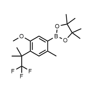 1,3,2-Dioxaborolane, 2-[5-methoxy-2-methyl-4-(2,2,2-trifluoro-1,1-dimethylethyl)phenyl]-4,4,5,5-tetramethyl-|CS-0910393
