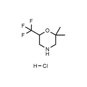 2,2-Dimethyl-6-(trifluoromethyl)morpholine hydrochloride|CS-0911896