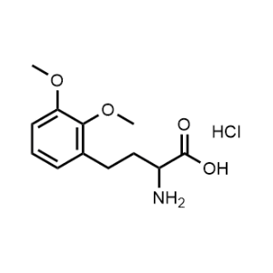 2-Amino-4-(2,3-dimethoxyphenyl)butanoic acid hydrochloride|CS-0912879