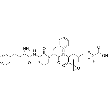 Carfilzomib Impurity 5 TFA Salt|CS-0914686