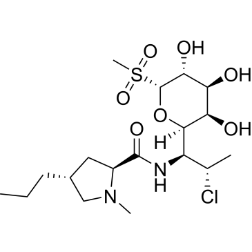 Clindamycin Impurity 25 Sulfone|CS-0914766
